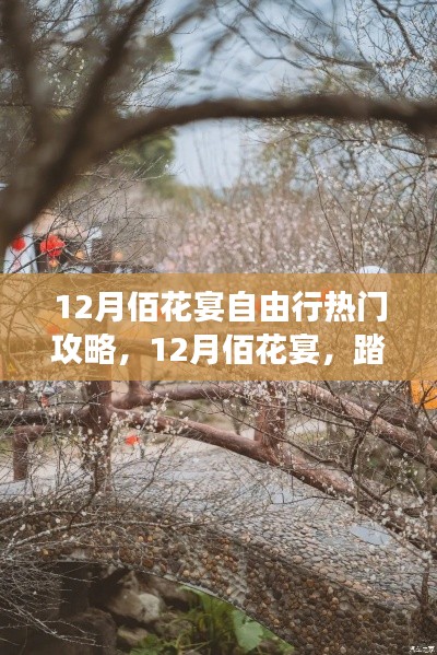 12月佰花宴踏雪尋梅之旅，熱門自由行攻略，赴一場心靈盛宴