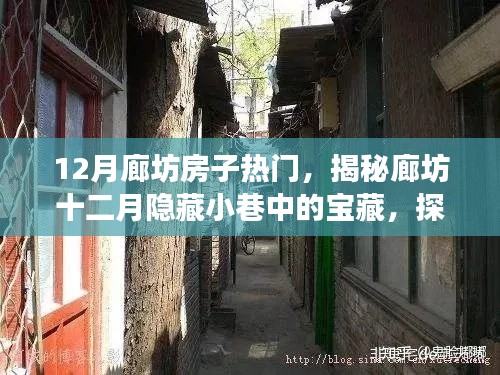 揭秘廊坊十二月隱藏小巷中的寶藏房源與特色小店故事，探尋獨特魅力房源的奇妙之旅