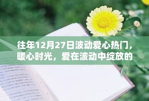 12月27日愛心熱潮涌動(dòng)，暖心時(shí)光記錄溫馨日常中的愛之波動(dòng)