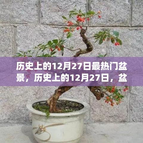 揭秘歷史上的盆景熱潮，探尋盆景背后的故事與種子力量，領(lǐng)略變化與自信的魅力