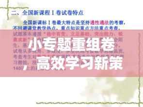 小專題重組卷，高效學(xué)習(xí)新策略助力提升學(xué)習(xí)效能