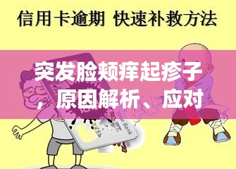 突發(fā)臉頰癢起疹子，原因解析、應(yīng)對方法與預(yù)防策略