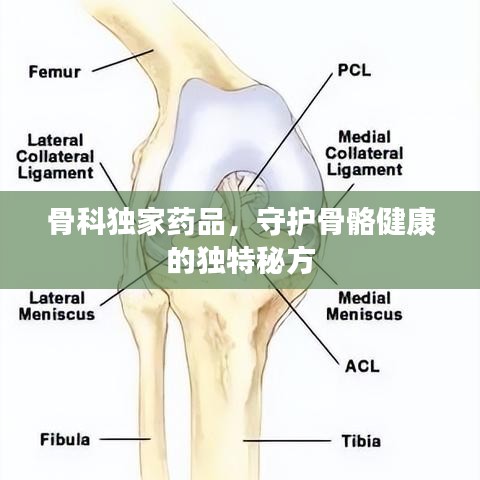 骨科獨家藥品，守護骨骼健康的獨特秘方