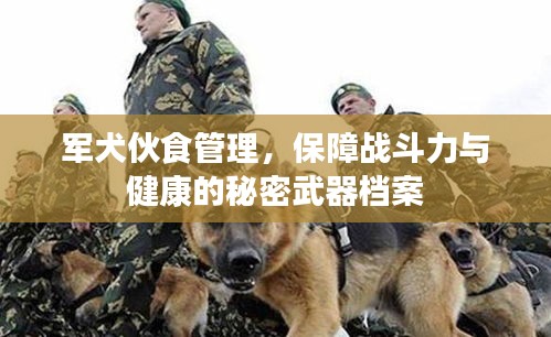 軍犬伙食管理，保障戰(zhàn)斗力與健康的秘密武器檔案