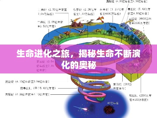 生命進化之旅，揭秘生命不斷演化的奧秘