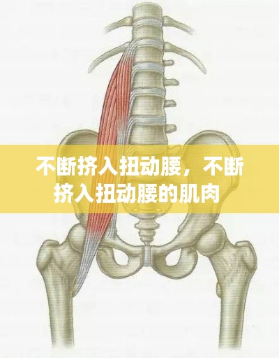 不斷擠入扭動腰，不斷擠入扭動腰的肌肉 