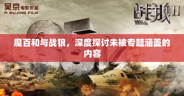 魔百和與戰(zhàn)狼，深度探討未被專題涵蓋的內(nèi)容