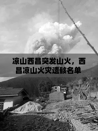 涼山西昌突發(fā)山火，西昌涼山火災遺骸名單 