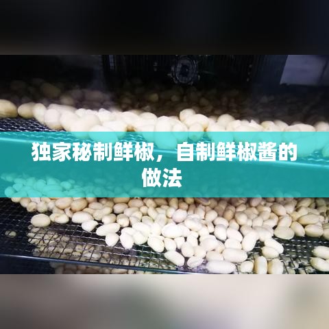 獨(dú)家秘制鮮椒，自制鮮椒醬的做法 