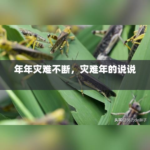 年年災(zāi)難不斷，災(zāi)難年的說說 