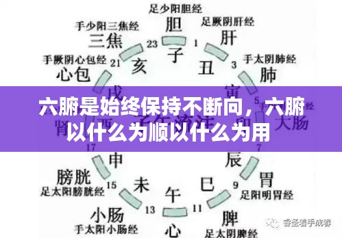 六腑是始終保持不斷向，六腑以什么為順以什么為用 