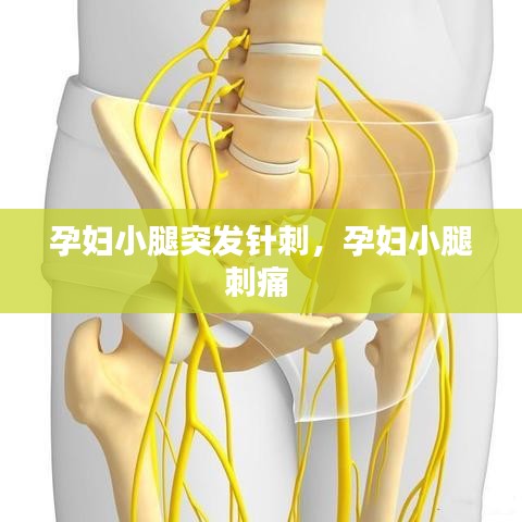 孕婦小腿突發(fā)針刺，孕婦小腿刺痛 