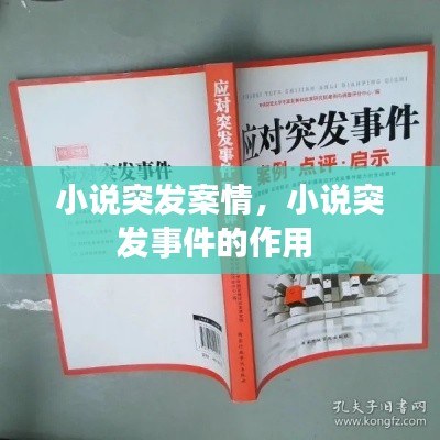 小說突發(fā)案情，小說突發(fā)事件的作用 