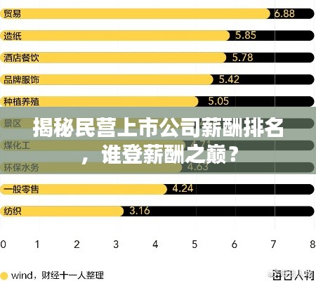 揭秘民營(yíng)上市公司薪酬排名，誰(shuí)登薪酬之巔？