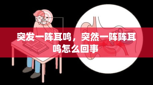 突發(fā)一陣耳鳴，突然一陣陣耳鳴怎么回事 