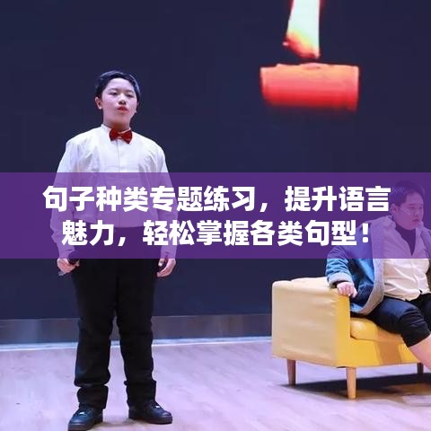 句子種類專題練習(xí)，提升語言魅力，輕松掌握各類句型！