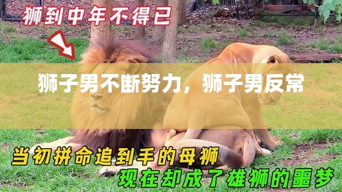 獅子男不斷努力，獅子男反常 