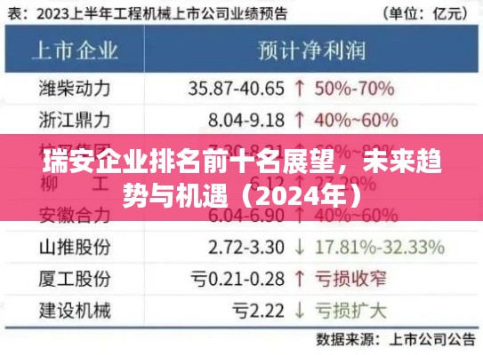 瑞安企業(yè)排名前十名展望，未來(lái)趨勢(shì)與機(jī)遇（2024年）