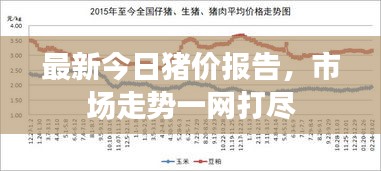 最新今日豬價(jià)報(bào)告，市場(chǎng)走勢(shì)一網(wǎng)打盡