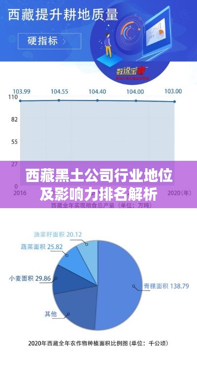 西藏黑土公司行業(yè)地位及影響力排名解析