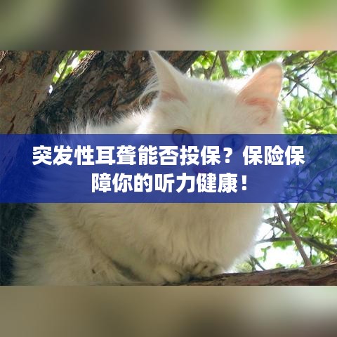 突發(fā)性耳聾能否投保？保險(xiǎn)保障你的聽力健康！