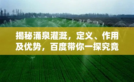 揭秘涌泉灌溉，定義、作用及優(yōu)勢，百度帶你一探究竟！