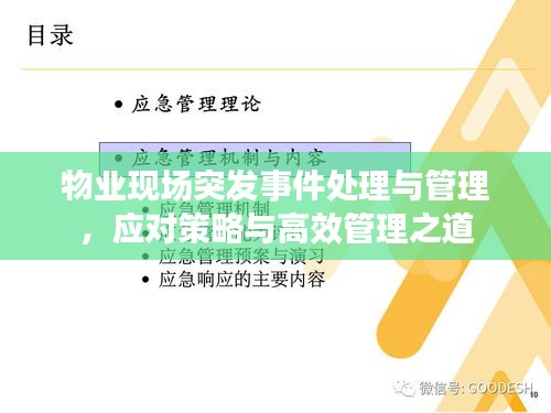 物業(yè)現(xiàn)場突發(fā)事件處理與管理，應(yīng)對策略與高效管理之道