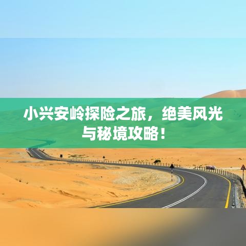 小興安嶺探險之旅，絕美風(fēng)光與秘境攻略！