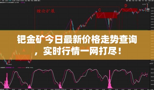 鈀金礦今日最新價格走勢查詢，實時行情一網(wǎng)打盡！