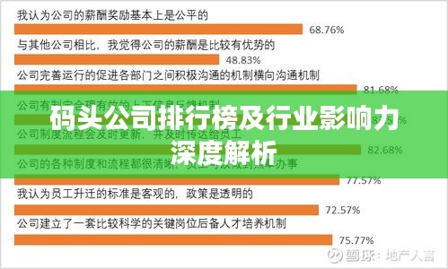 碼頭公司排行榜及行業(yè)影響力深度解析