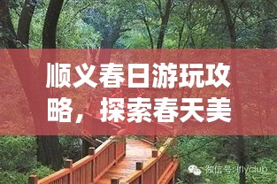 順義春日游玩攻略，探索春天美景，盡享愜意時光！