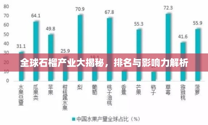 全球石榴產(chǎn)業(yè)大揭秘，排名與影響力解析