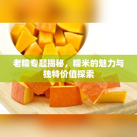 老糯專題揭秘，糯米的魅力與獨(dú)特價(jià)值探索