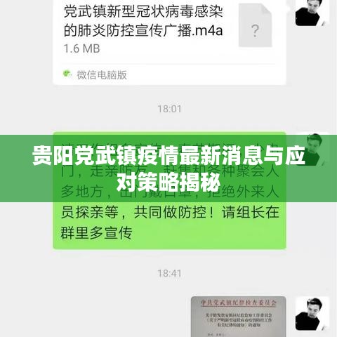 貴陽黨武鎮(zhèn)疫情最新消息與應(yīng)對策略揭秘