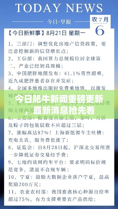 今日肥牛新聞重磅更新，最新消息搶先看