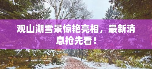 觀(guān)山湖雪景驚艷亮相，最新消息搶先看！