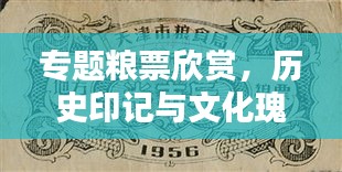 專題糧票欣賞，歷史印記與文化瑰寶的獨(dú)特魅力