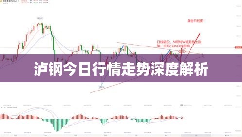 瀘鋼今日行情走勢深度解析