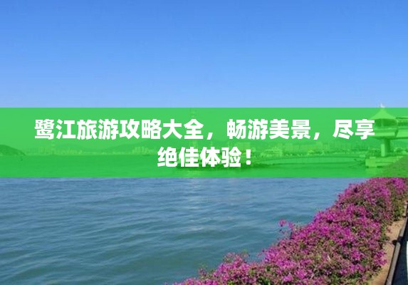 鷺江旅游攻略大全，暢游美景，盡享絕佳體驗！