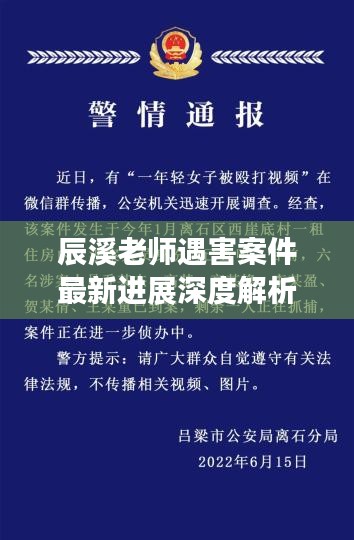 辰溪老師遇害案件最新進展深度解析，事件視頻曝光與影響探究