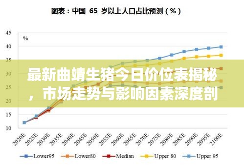 最新曲靖生豬今日價(jià)位表揭秘，市場(chǎng)走勢(shì)與影響因素深度剖析