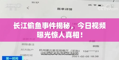 長(zhǎng)江偷魚事件揭秘，今日視頻曝光驚人真相！