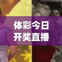 體彩今日開獎直播查詢，最新動態(tài)掌握，透明彩票體驗(yàn)之旅