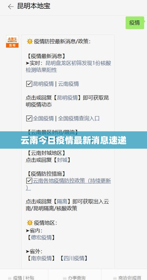 云南今日疫情最新消息速遞