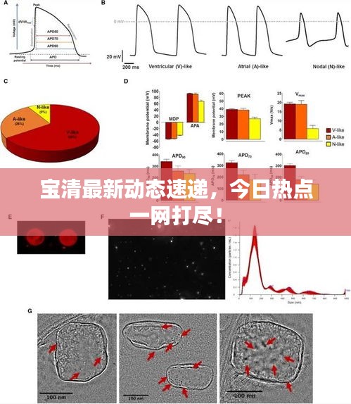 寶清最新動(dòng)態(tài)速遞，今日熱點(diǎn)一網(wǎng)打盡！