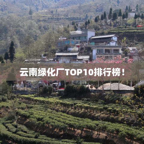 云南綠化廠TOP10排行榜！