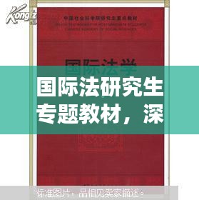 國際法研究生專題教材，深度探索與實踐研究