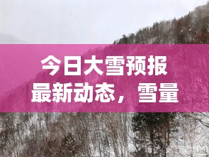 今日大雪預(yù)報最新動態(tài)，雪量、時間一覽無余！