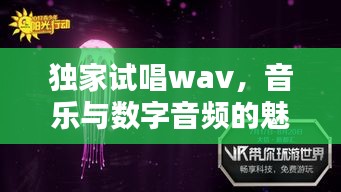 獨家試唱wav，音樂與數(shù)字音頻的魅力探索