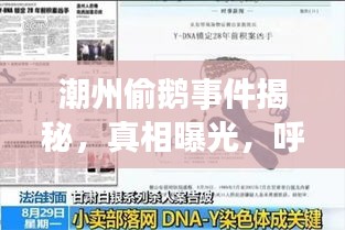 潮州偷鵝事件揭秘，真相曝光，呼吁社會關(guān)注，視頻全集最新更新